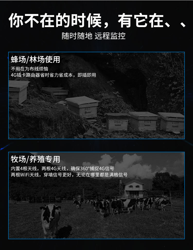 描述图13.jpg